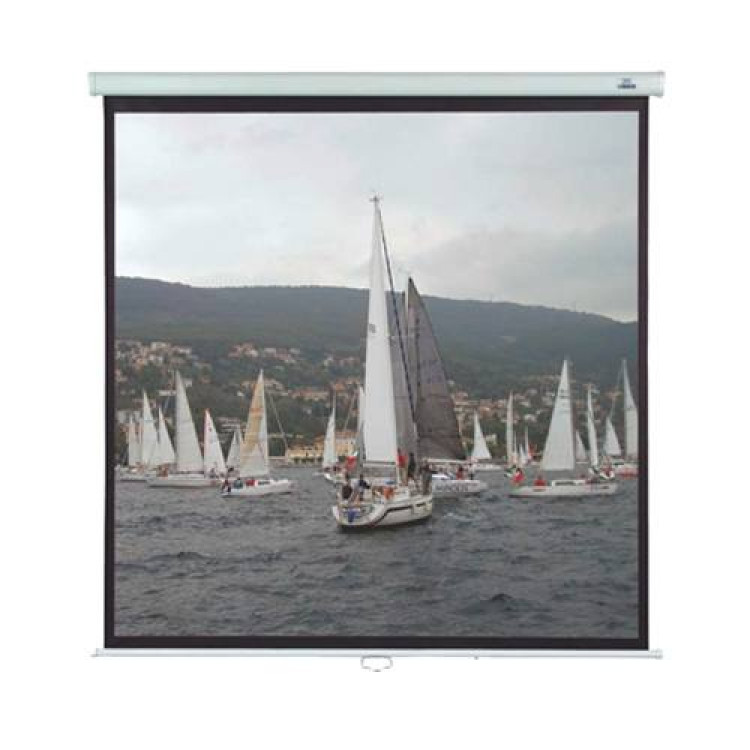 Проекциони платна