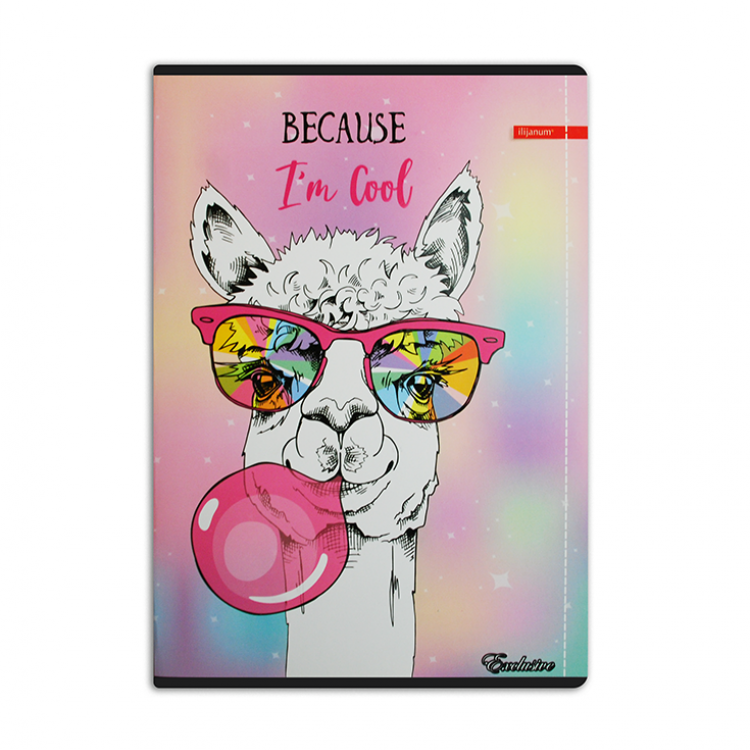 тетратка А4 м.п