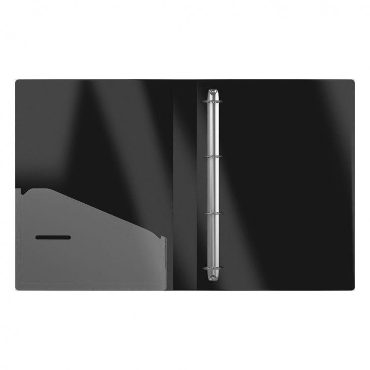 Папка со 4 прстени 250 лис. Megapolis Erich Krause