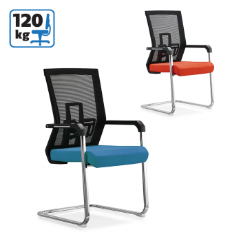 Посетителска столица Лука М