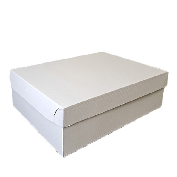 Кутија 300х300х100мм бела