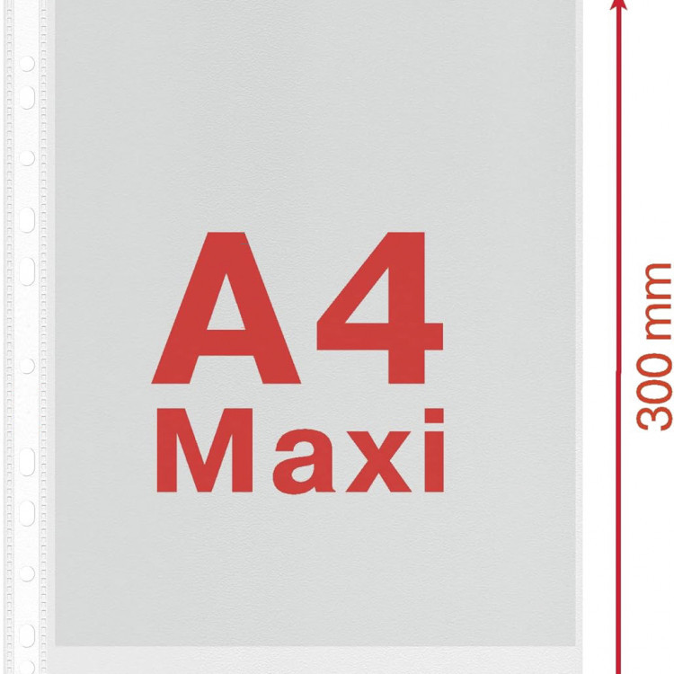 Папка перфорирана, 80 mic сјај 1/100