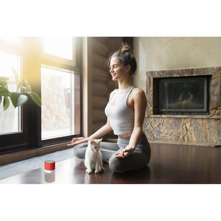 Звучник блутут со микрофон