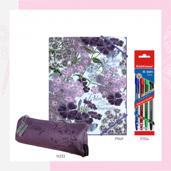 Папка + пенкала + несесер